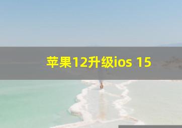 苹果12升级ios 15